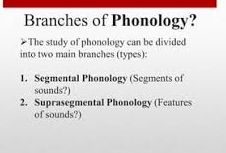 Branches of phonology