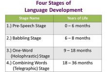 The stages of language development