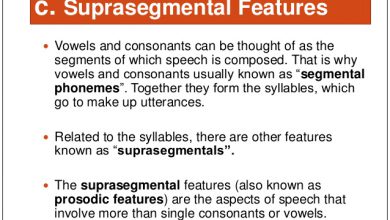 The suprasegmental features