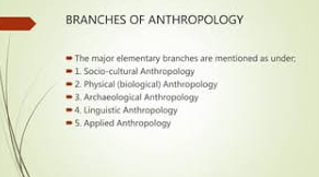 Branches of anthrapology