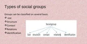 Types of social groups