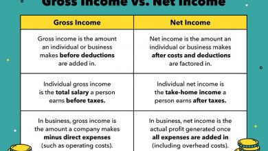 Net income in economics