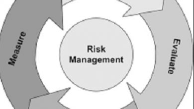 Risk management definition and examples