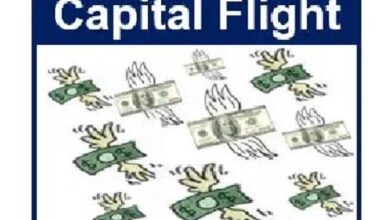 What is Capital flight