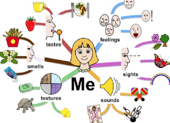 What is Sensory Images with 50 examples of sensory images