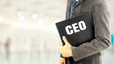 What are the main responsibilities of a CEO