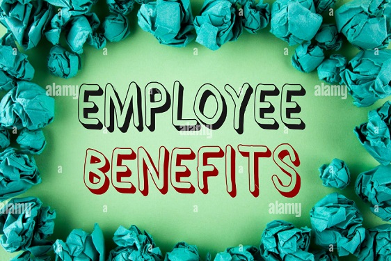 List of employee benefits Types and Importance