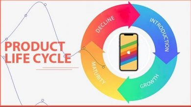 Stages of the product life cycle