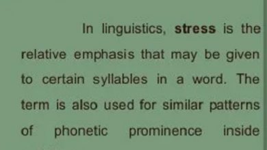 Stress in phonetics