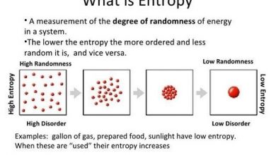 Entropy in business
