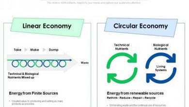 Circular economy vs linear economy