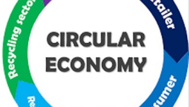 Circular economy examples