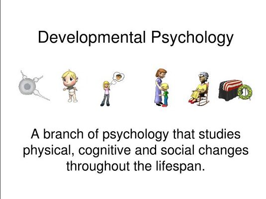 developmental psychology is a research area that emphasizes the