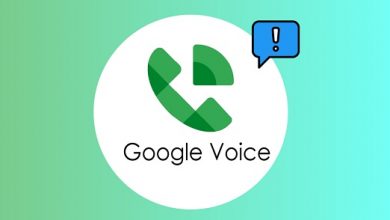 Google voice apk