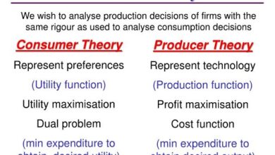 Producer theory