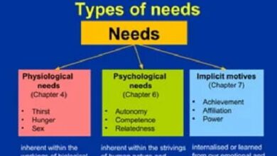 Types of human needs