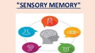 Types of sensory memory