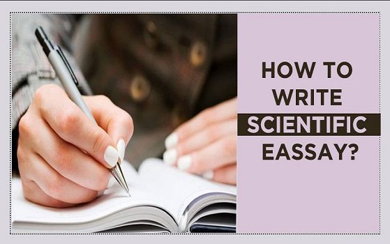 scientific essay beispiel fom