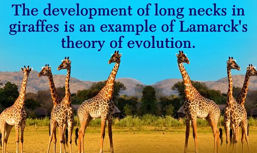 Lamarck theory of evolution and the postulates of evolution