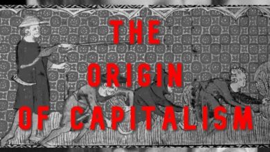 Origin of capitalism