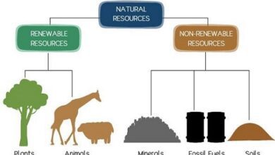 Classification of natural resources