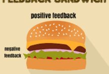 Sandwich feedback