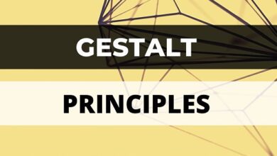 What are Gestalt principles