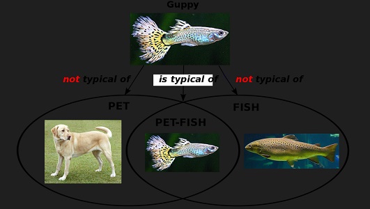 theory-of-meaning-referential-mentalist-behaviorist-speech-acts