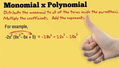 Difference between monomial and polynomial