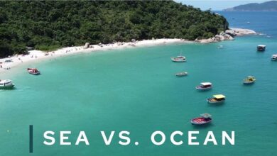 Difference between ocean and sea