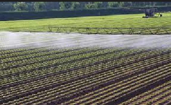 Difference Between Intensive And Extensive Agriculture And FAQs