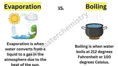 Difference between boiling and evaporation