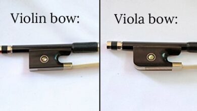 Difference between viola and violin