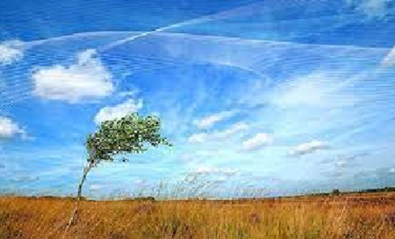 Difference Between Air And Wind difference-between-air-and-wind