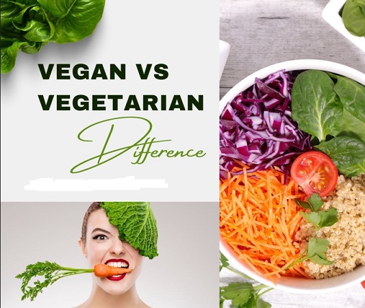 Difference between vegan and vegetarian Similarities and FAQs