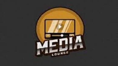Media Lounge Apk