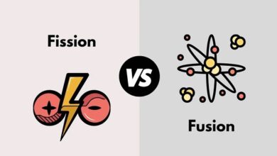 Difference between fusion and fission