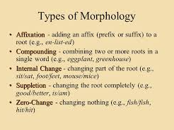Types of Morphology